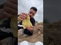 سكونونو والبحث عن السمكة احمد الامير سكونونو والبحث عن السمكة احمد الامير