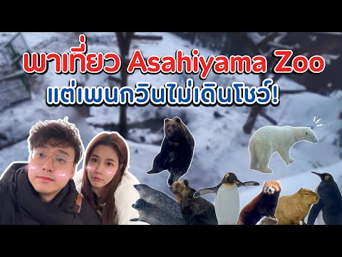 เที่ยว Asahiyama Zoo-Bear Park หิมะโปรยปราย สุดฟิน แต่เพนกวินไม่เดิน!
