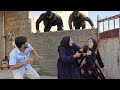 Hakan Is in Danger... Zeynab Makes a Secret Plan to Escape!