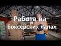 Правильная работа на боксерских лапах — Урок 2. Объясняет Андрей Басынин и Дмитрий Киселев