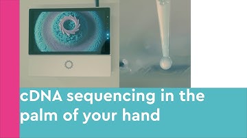 🧬 Viral variant 🦠 testing with handheld DNA sequencer from Oxford Nanopore