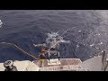 60 - Sailing S/V Julia: Part 3 - We Got Stuck in the Pacific Garbage Patch!