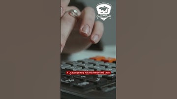 Pip, Lot, Spread là gì?