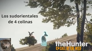Las cabras hispánicas parte 2/4 #thehuntercallofthewild