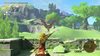 The Legend of Zelda - Tears of the Kingdom #113