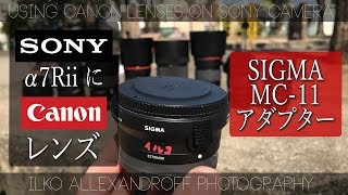 SONY α7II SIGMA Canon EF コンバータ　レンズセット SONY α7II SIGMA Canon EF コンバータ レンズセット