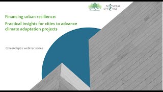 Webinar Series | Financing Urban Resilience (Session 2)