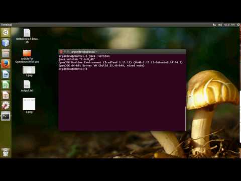 Change Version of JAVA in Ubuntu