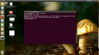 Change Version of JAVA in Ubuntu