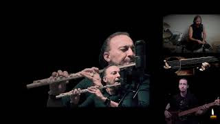 JETHRO TULL - Elegy (Cover) - by The Old Grey Mouse  #jethrotull #jethro #iananderson