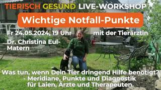 Wichtige Notfall-Punkte für Hund, Katze und Pferd