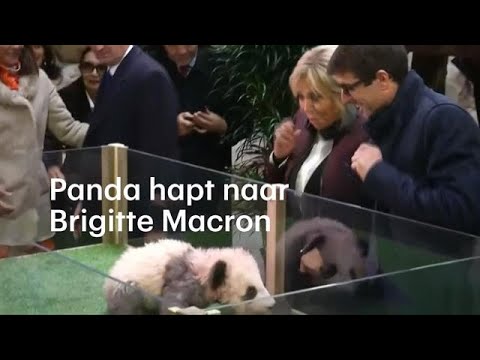 Video: De Nieuwe First Lady Van Frankrijk