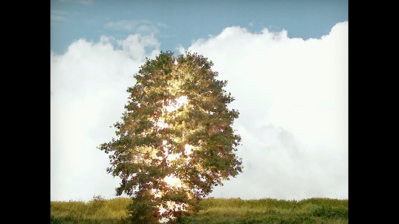 About Group - All Is Not Lost (Official Video)