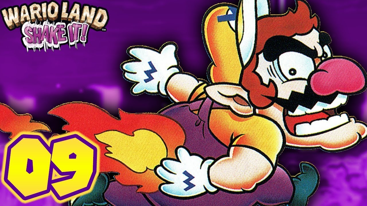 wario, wario land: shake it! (video game), wario land shake it, war...