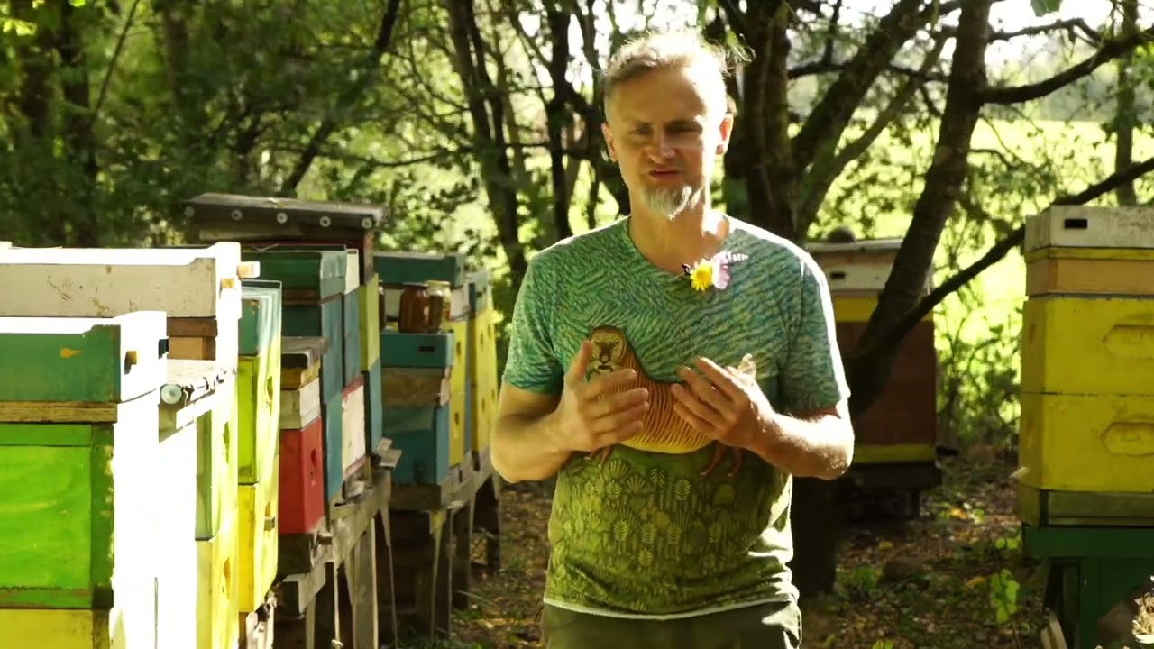 Pierzga, najcenniejszy produkt pszczeli.