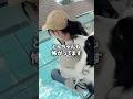 高知でカツオとメガジョッキ決めて、徳島の絶叫スポットでわんこおんぶしてきた。