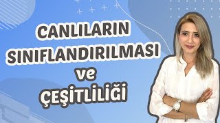 20.Ders Canlilarin Siniflandirilmasi Ve Çeşi̇tli̇li̇ği̇ Seda Hoca Biyoloji