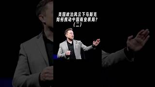 Pt.2: 美国政治风云下马斯克,如何搅动中国商业棋局?