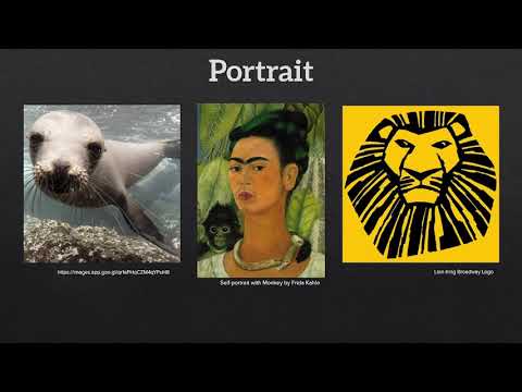 SHARP Focus on STEAM - Endangered Species Portrait