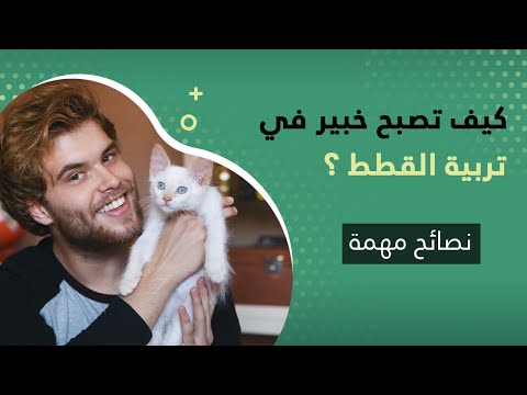 فيديو: كيفية فهم لغة القط