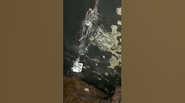 electrical Fault-யினால் ஏற்பட்ட Fire accident power room electrical fault wiring work