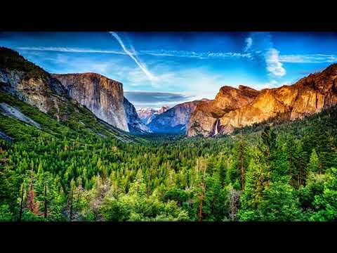 سورة الصف كاملة بصوت القارئ محمد اللحيدان 