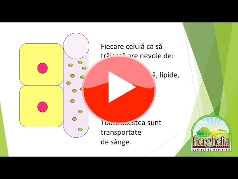 Impactul dietei în SINDROMUL METABOLIC | Dr. Moroșan Sorin [2021]