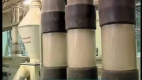 Где растет манка  Галилео стс
