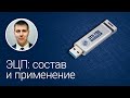 Электронная подпись: состав и применение