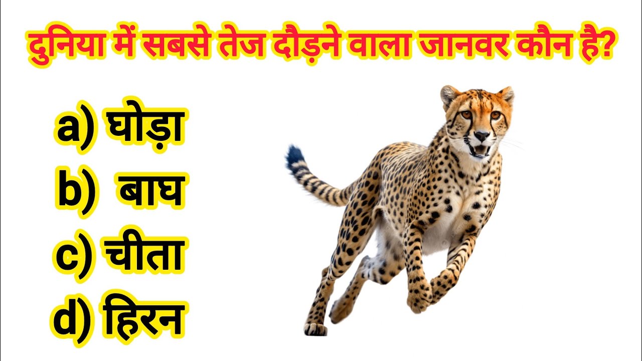 GK Question || Gk in hindi ll Viral GK video #gkquestions #gkhindustan #gkinhindi #gk #smartgadgets 