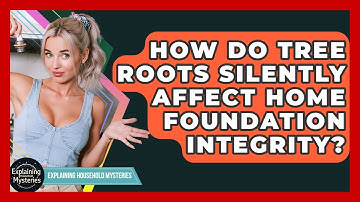How Do Tree Roots Silently Affect Home Foundation Integrity? - Explaining Household Mysteries