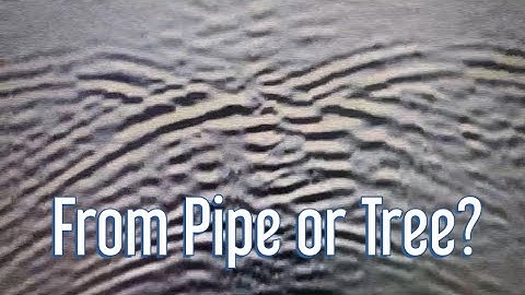 Beware The Airwaves From Trees | Ground Penetrating Radar (GPR)