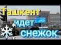 Ташкент идет снежок. Узбекистан