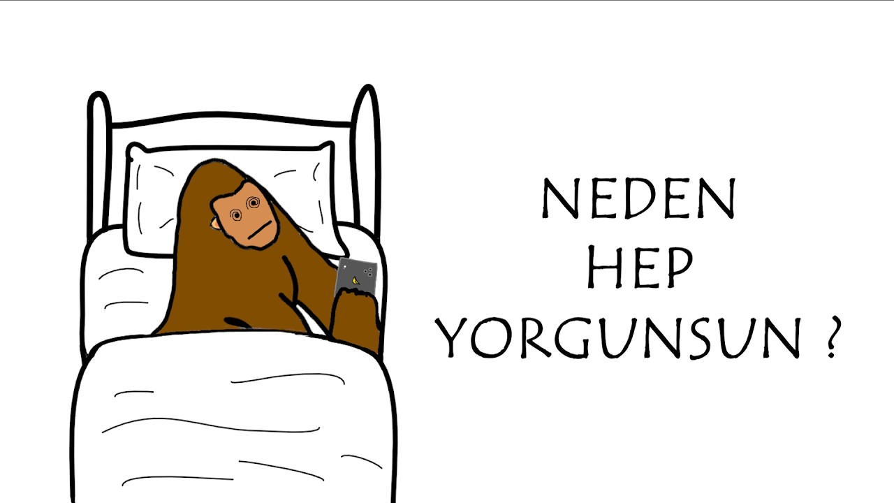 Neden Hep Yorgunsun ? | Maymun Anlatıyor
