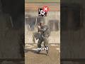 Stop Playing HIBANA WRONG in R6!