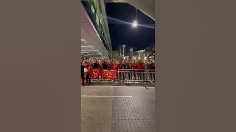 استقبال بعثة النادي الأهلي في قطر 🇶🇦🦅