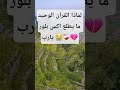 لماذا القران الوحيد ما يطلع اكس بلور يارب 