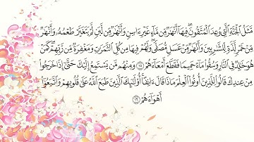 سورة محمد بصوت ادريس ابكر