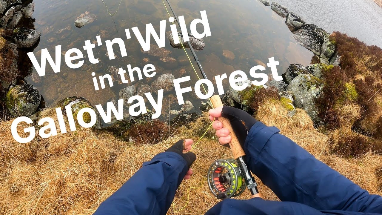 Wet'n'Wild in the Galloway Forest | Wild brown trout and wild camping