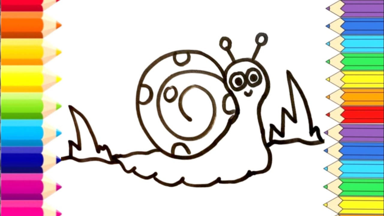 How to Draw a Cute Smiling Snail Step by Step 
