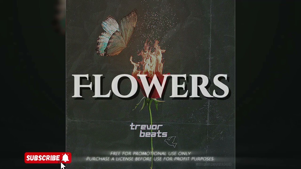 Emotional Freestyle Rap Instrumental 2025  | "Flowers" (with hook)