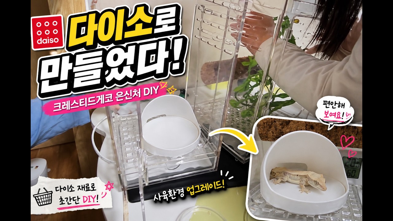 다이소 용품으로 도마뱀 은신처 만들기
