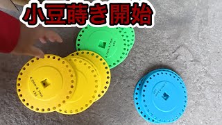 2026年5月22日　小豆蒔き開始