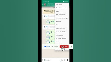 whatsApp voice changer in telugu #pavan village vlogs#subscribe