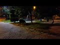 ŞEHİR MERKEZİNDE DOMUZ AİLE'Sİ İLE KARŞILAŞMAK MARMARİS SİTELER