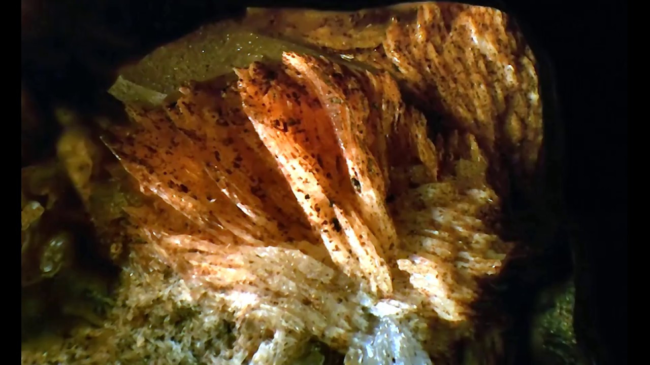 TINZENITE 3D  GAMBATESA   VAL GRAVEGLIA   LIGURIA   ITALIA   campo 6 mm  enhanced