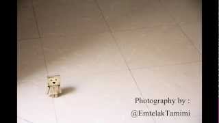 Danbo - Photography by : امتلاك التميمي