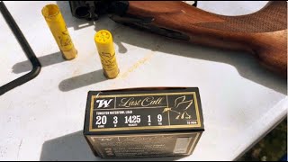 Pattern Test: Winchester Last Call 1 oz 20 gauge TSS load with an open choke - a good Pheasant Load?