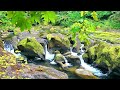 Piano Music for a Quiet and Peaceful Night