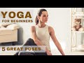 Yoga for beginners weight loss routine  bodywisdom  yoga workout